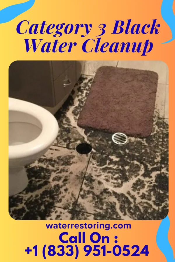 Category 3 Black Water Cleanup in Artondale, WA