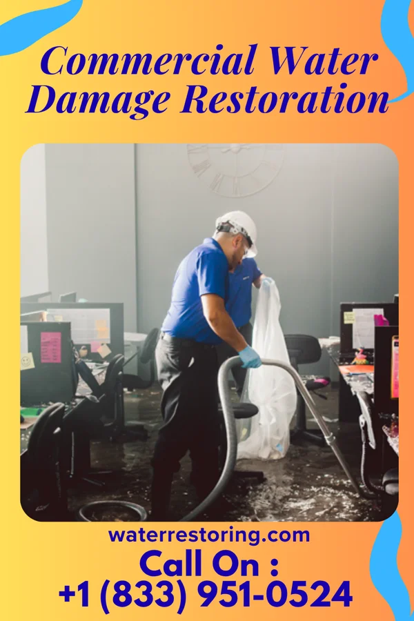 Commercial Water Damage Restoration in Artondale, WA